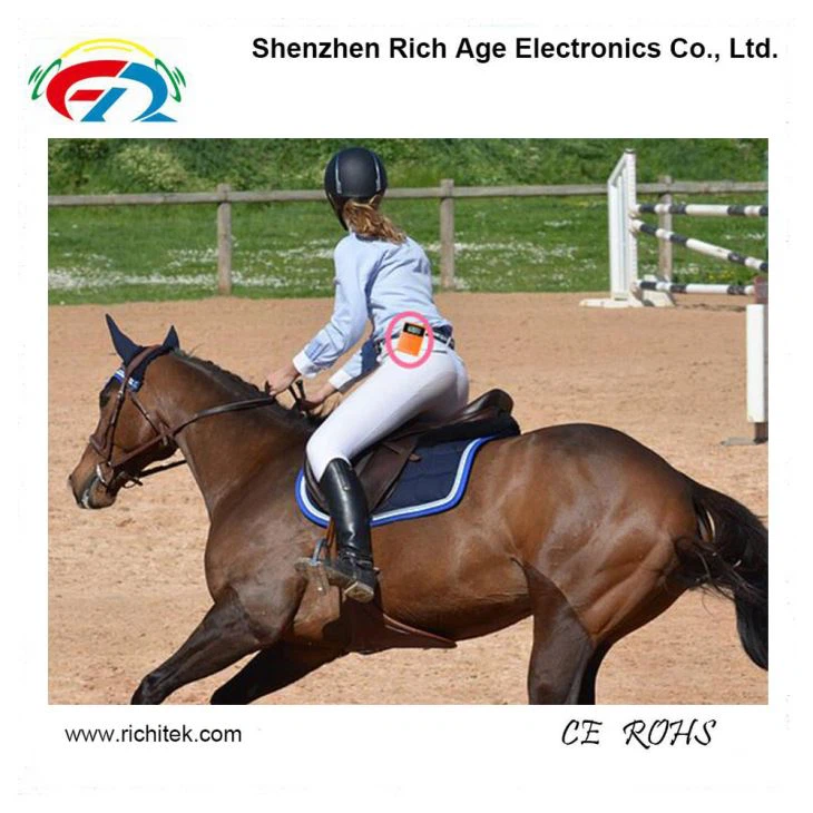 Horse Riding Teaching With Wireless Sound Transmission System Poučevanje jahanja z brezžičnim sistemom prenosa zvoka(图1)